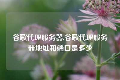谷歌代理服务器,谷歌代理服务器地址和端口是多少