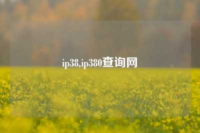 ip38,ip380查询网