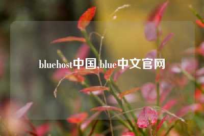 bluehost中国,blue中文官网
