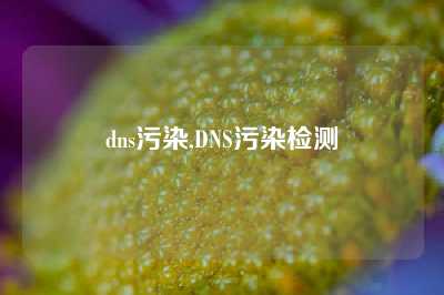 dns污染,DNS污染检测