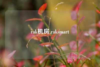rak机房,raksmart