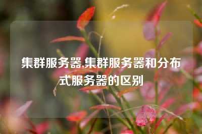 集群服务器,集群服务器和分布式服务器的区别