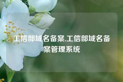工信部域名备案,工信部域名备案管理系统