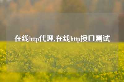 在线http代理,在线http接口测试