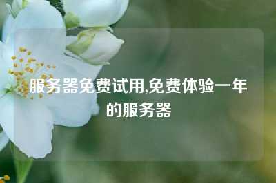 服务器免费试用,免费体验一年的服务器