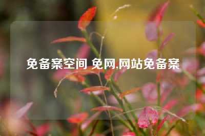 免备案空间 免网,网站免备案