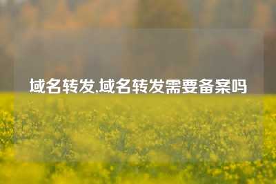 域名转发,域名转发需要备案吗
