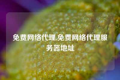 免费网络代理,免费网络代理服务器地址