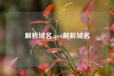 解析域名,ipv6解析域名