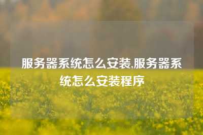 服务器系统怎么安装,服务器系统怎么安装程序