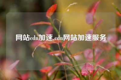 网站cdn加速,cdn网站加速服务