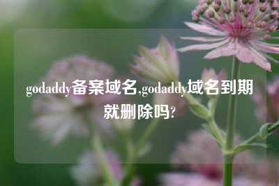 godaddy备案域名,godaddy域名到期就删除吗?