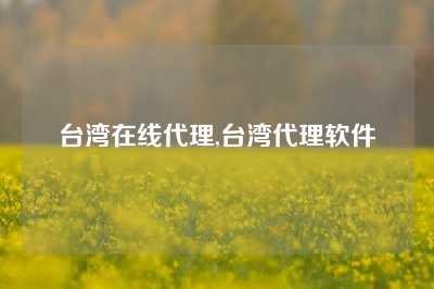 台湾在线代理,台湾代理软件