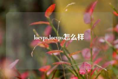 locvps,locvps怎么样