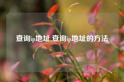 查询ip地址,查询ip地址的方法