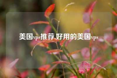 美国vps推荐,好用的美国vps