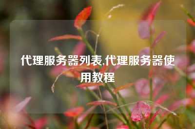 代理服务器列表,代理服务器使用教程