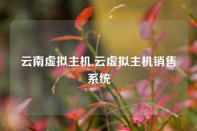 云南虚拟主机,云虚拟主机销售系统
