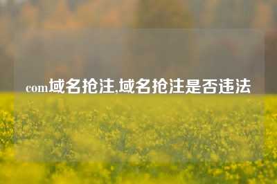 com域名抢注,域名抢注是否违法
