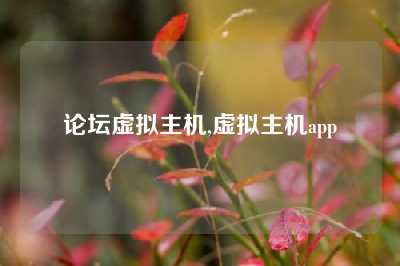 论坛虚拟主机,虚拟主机app