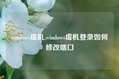 windows虚机,windows虚机登录如何修改端口