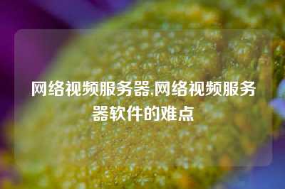 网络视频服务器,网络视频服务器软件的难点