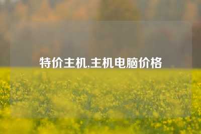 特价主机,主机电脑价格