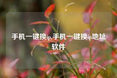 手机一键换ip,手机一键换ip地址软件