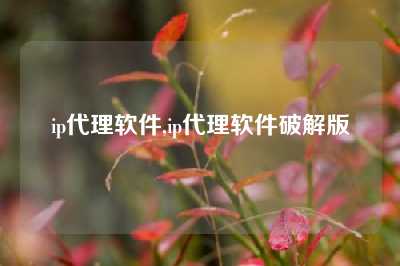 ip代理软件,ip代理软件破解版