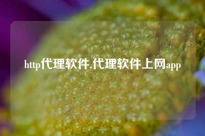 http代理软件,代理软件上网app