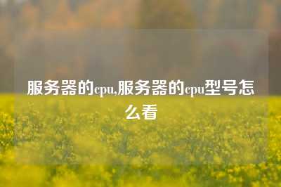 服务器的cpu,服务器的cpu型号怎么看