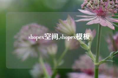 shopex空间,shopex模板