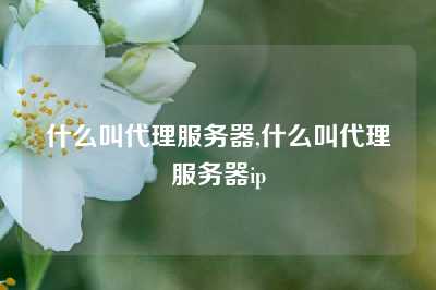什么叫代理服务器,什么叫代理服务器ip