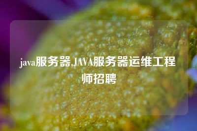 java服务器,JAVA服务器运维工程师招聘