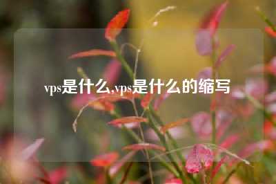 vps是什么,vps是什么的缩写