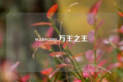 wanwang,万王之王