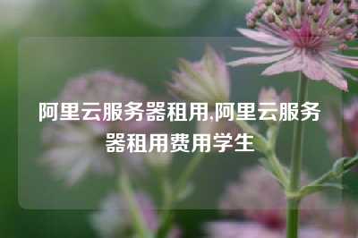 阿里云服务器租用,阿里云服务器租用费用学生