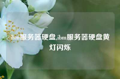 ibm服务器硬盘,ibm服务器硬盘黄灯闪烁