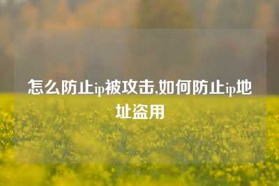 怎么防止ip被攻击,如何防止ip地址盗用