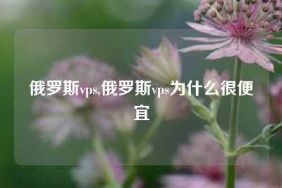 俄罗斯vps,俄罗斯vps为什么很便宜