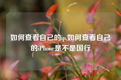 如何查看自己的ip,如何查看自己的iPhone是不是国行