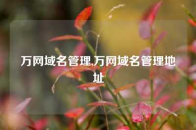 万网域名管理,万网域名管理地址