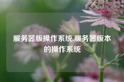 服务器版操作系统,服务器版本的操作系统