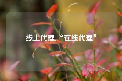 线上代理,“在线代理”