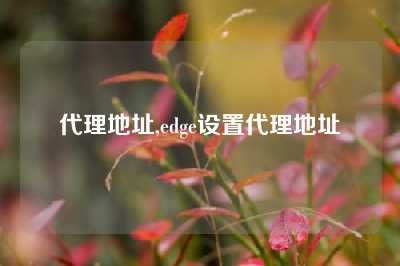 代理地址,edge设置代理地址