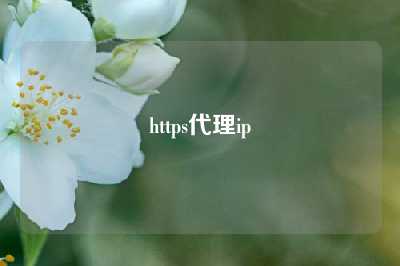 https代理ip