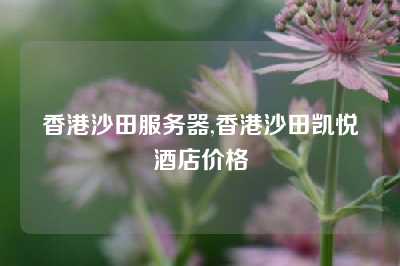 香港沙田服务器,香港沙田凯悦酒店价格
