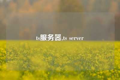 ts服务器,ts server