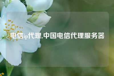 电信ip代理,中国电信代理服务器