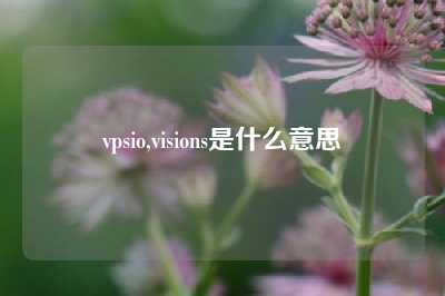 vpsio,visions是什么意思